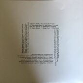 Lex (de Kalhex) - Satori - Sleeve Back
