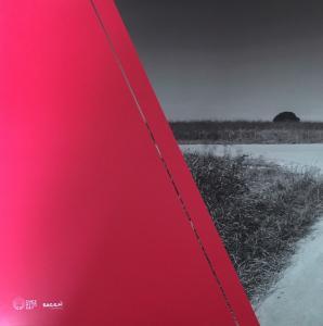 SH'NAPAN - Pagane - Cover Back