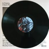 S. Fidelity - A Safe Place to Be Naked - Vinyl B