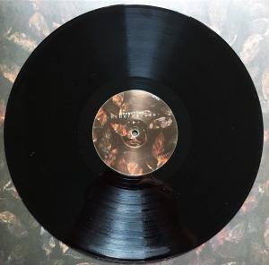 hibernature - Vinyl Side B