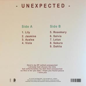 eevee - Unexpected (Vinyl Digital) 2