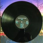 Teal - Vinyl
