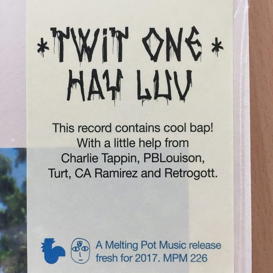 Twit One - Hay Luv (Melting Pot Music) 1