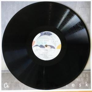 Spotless Minds - Vinyl