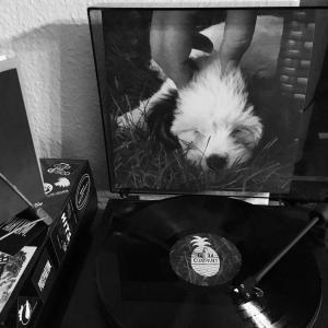 Fruit Company 004 - Now Spinning