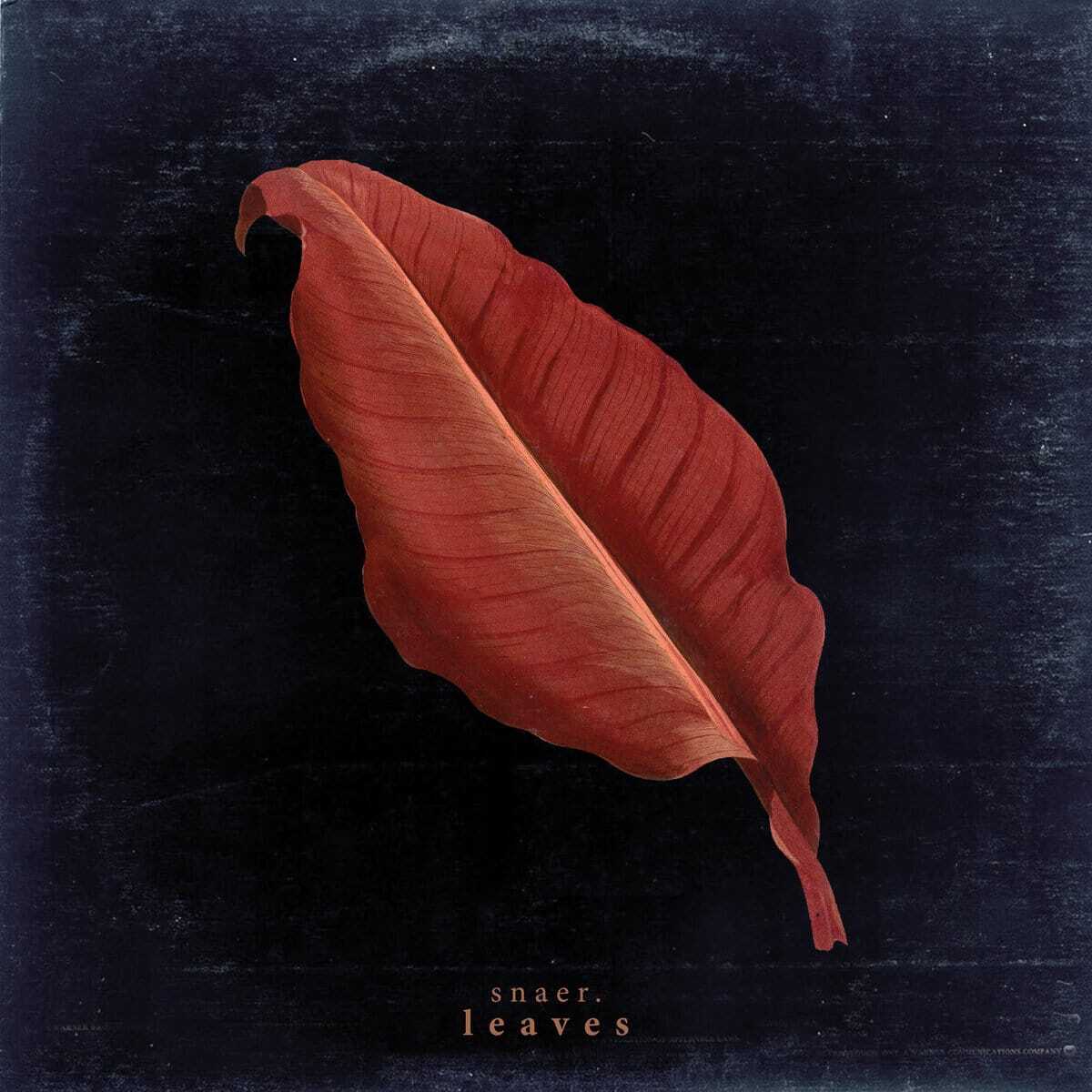 snaer. - leaves - Tapeinvader
