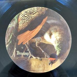 The Chronic - Vinyl D - Devaloop