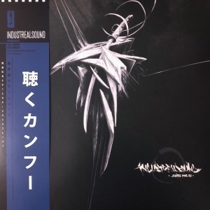 Audible Kung-Fu - Cover Front