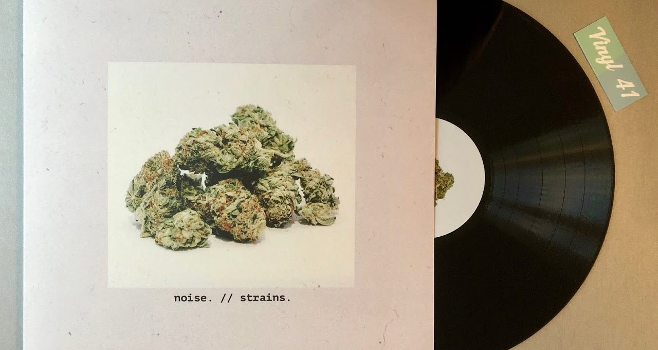 noise. - strains. (Vinyl / Dezi-Belle Records)