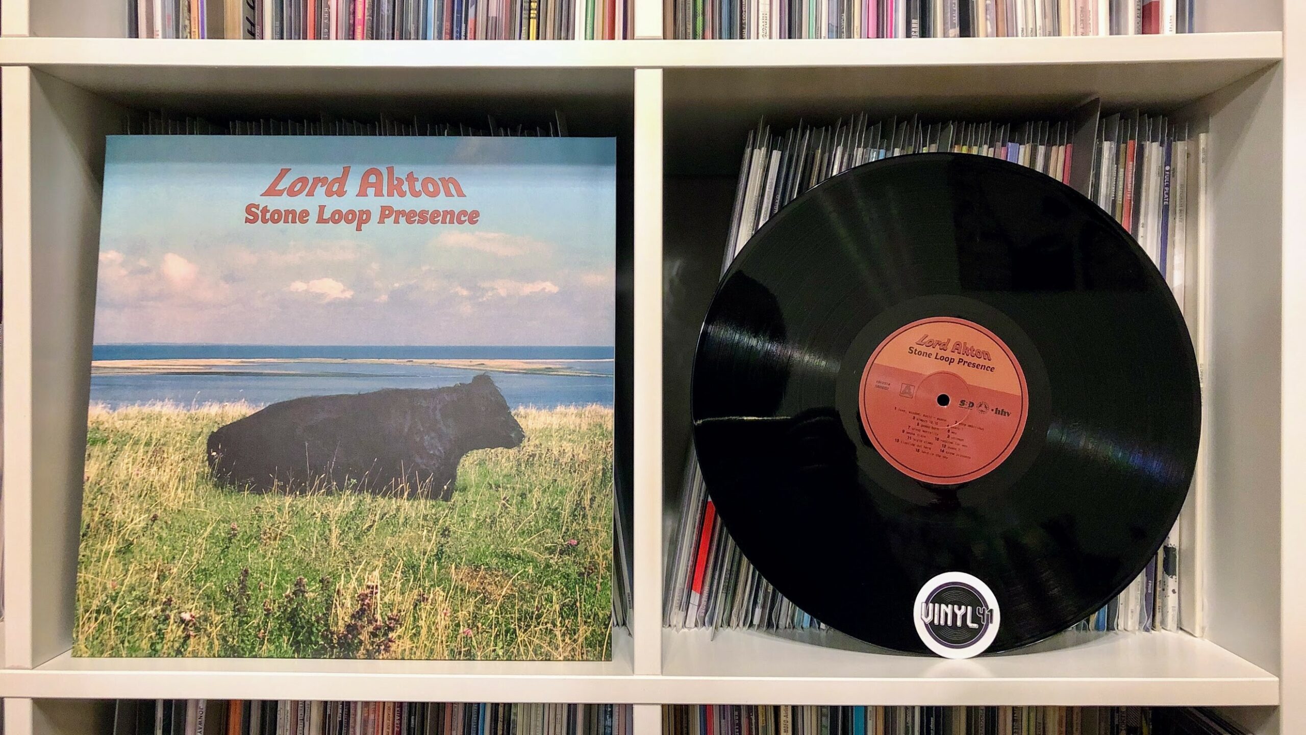 Lord Akton - Stone Loop Presence