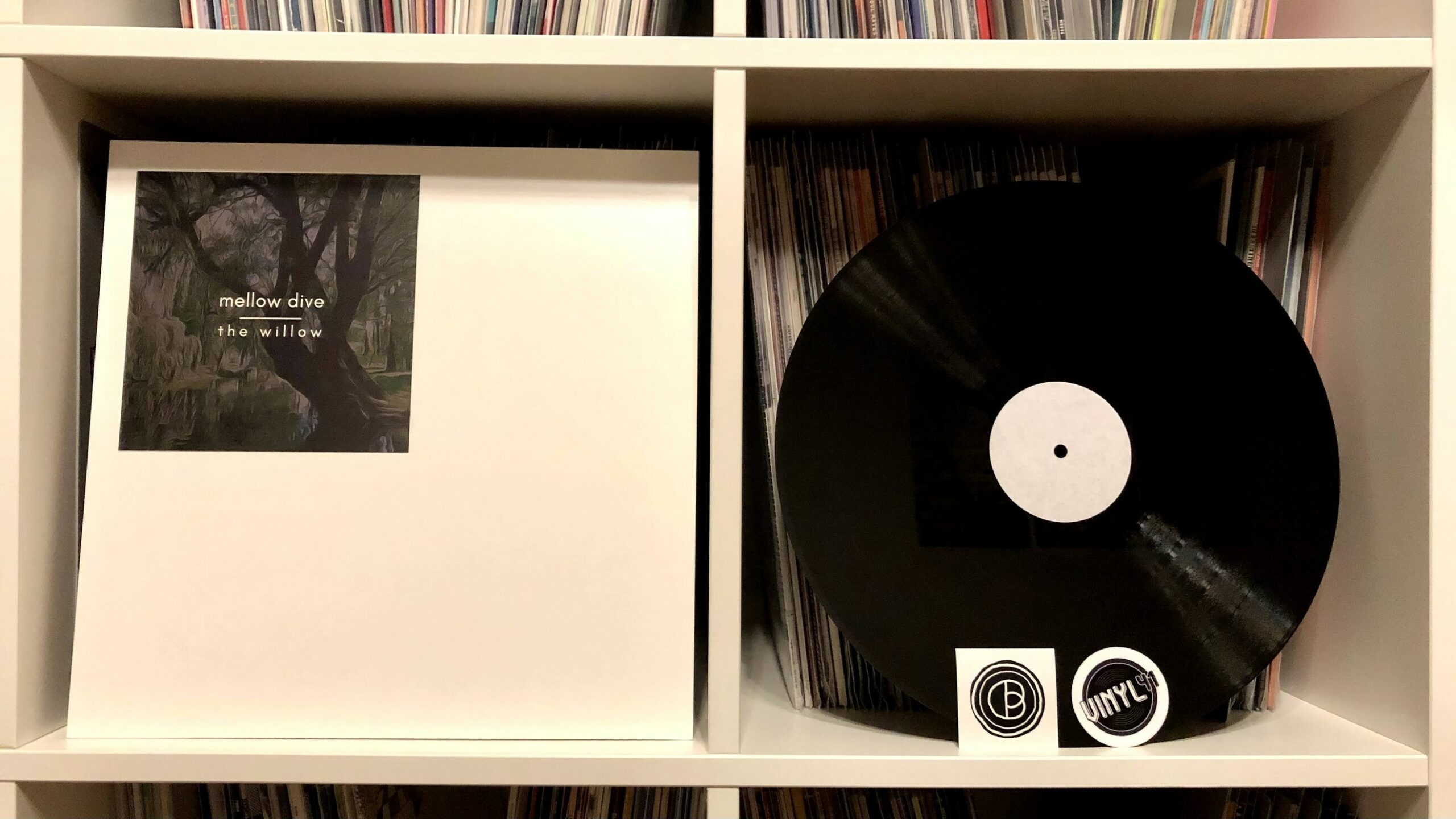 mellow dive - the willow