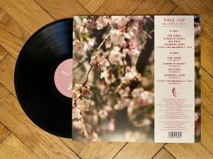 Pale Jay - The Celestial Suite (Plygrnd Music) - B - Instrumentals