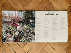 Pale Jay - Bewilderment (Karma Chief / Colemine) - Gatefold Cover