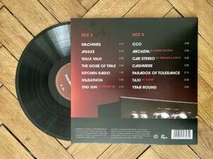 Dualizm - HiFi (Goji Island) - Vinyl B