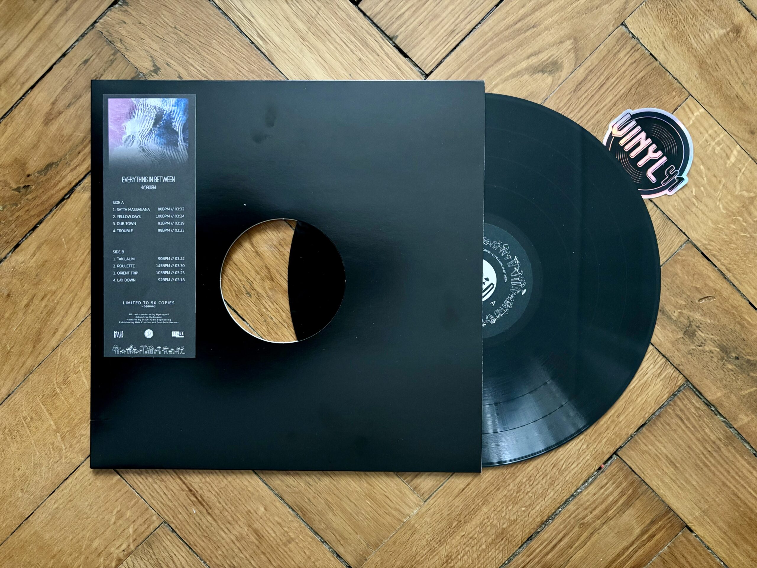 Hydrogenii - Everything In Between (Dezi-Belle / Haid Creative)