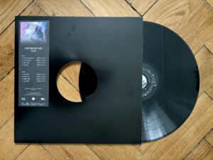 Hydrogenii - Everything In Between (Dezi-Belle / Haid Creative) - Vinyl