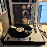 Don leisure tyrchu sain vinyl b