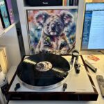 Philo philta koala vinyl a