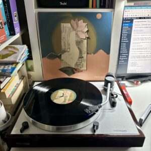 Herb sun schoenheit die im dreck gedeiht vinyl a