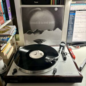 Herb sun schoenheit die im dreck gedeiht vinyl b