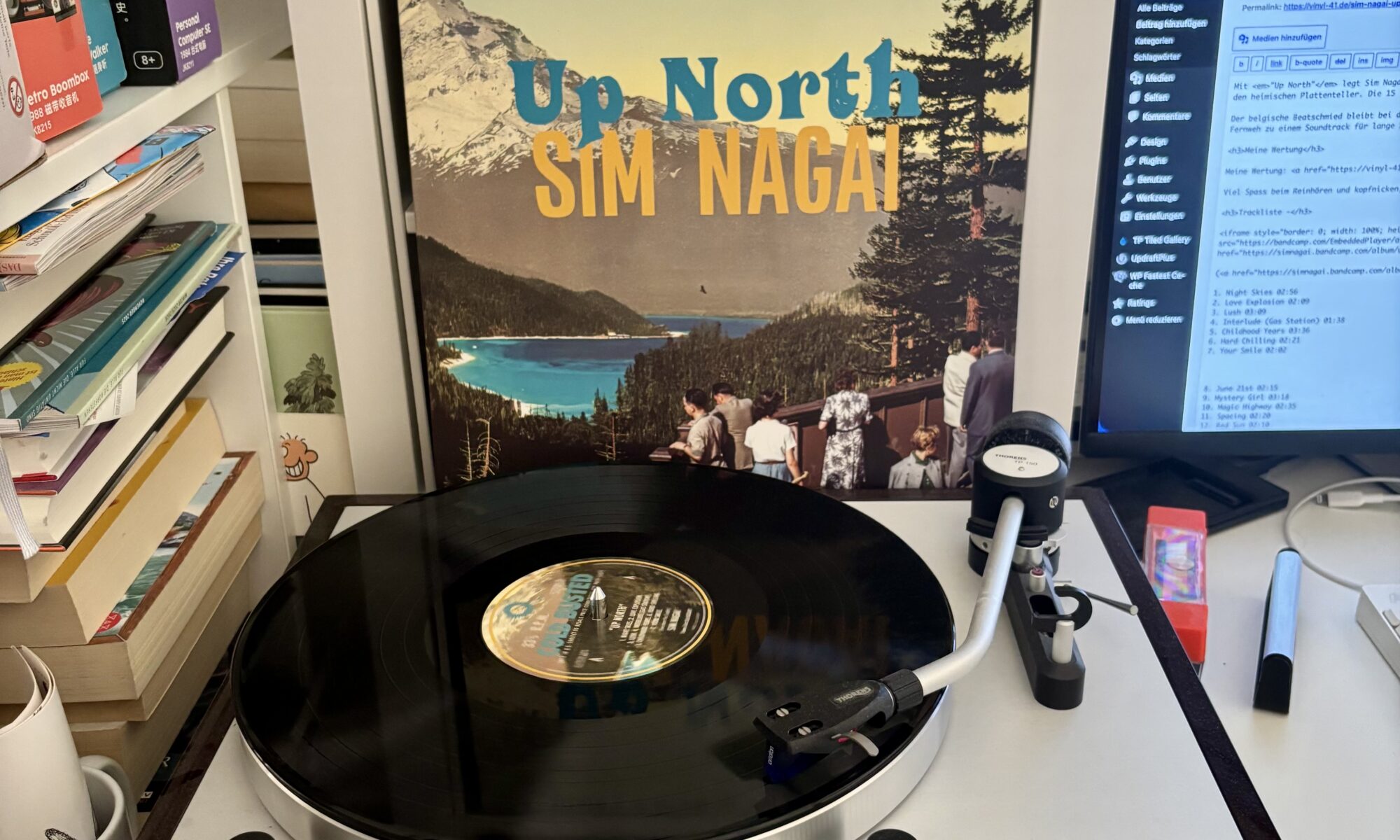 Sim nagai up north cold busted vinyl a
